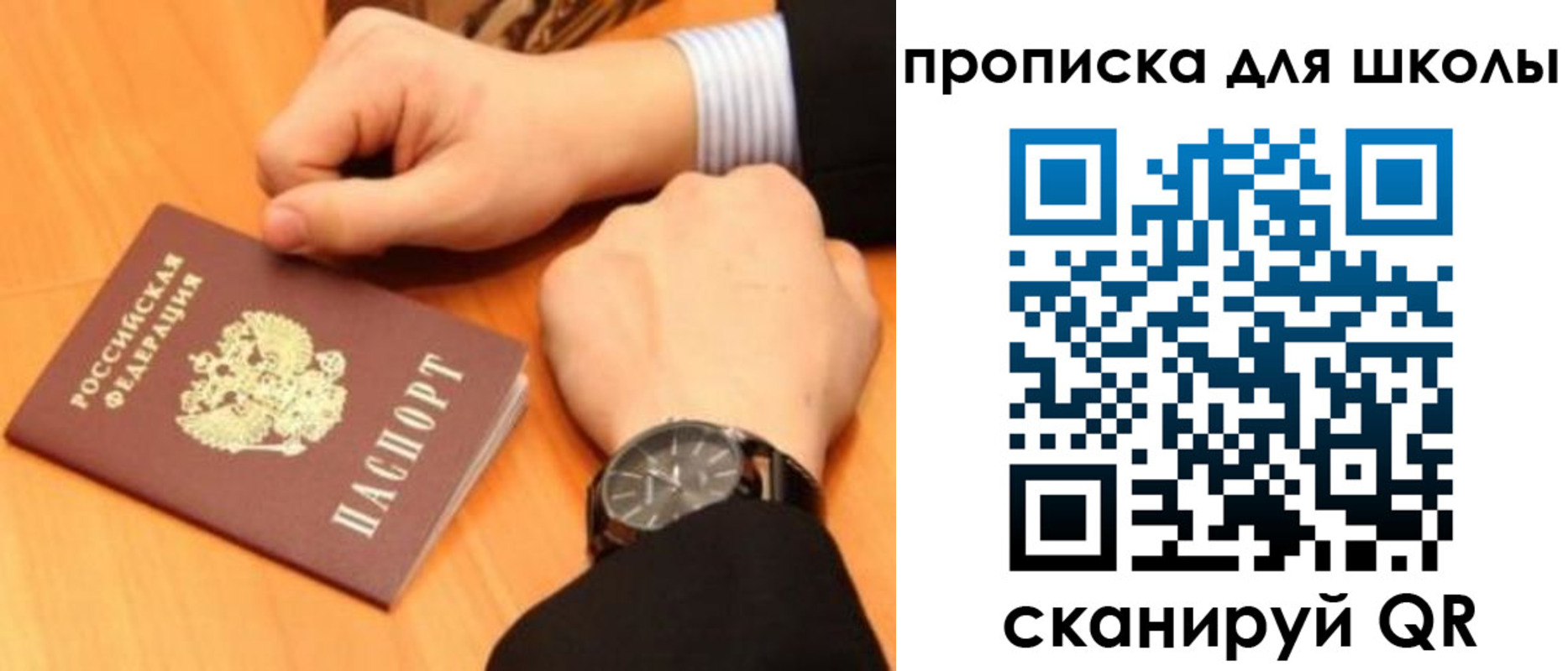 временная регистрация надежно в Камчатской области